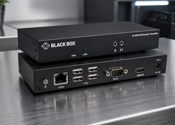 Black Box KVXLCDP-100: DisplayPort-рабочее место там, где оно действительно нужно