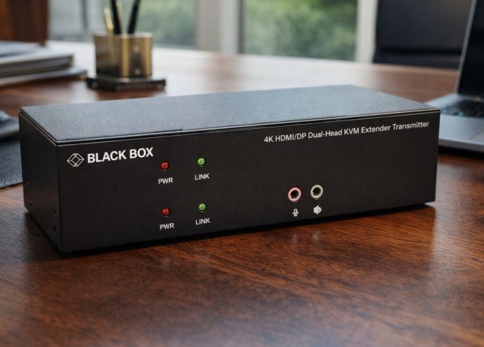 Black Box KVXLCHDP-200: два экрана, смешанные интерфейсы, одна KVM-линия